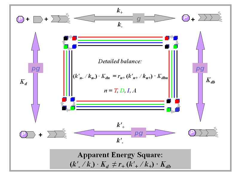 Thermodynamic Energy Square