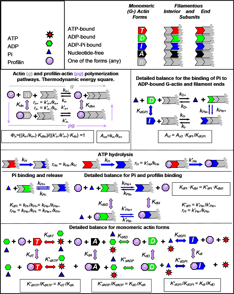 Chemical reactions, parameter definitions and thermodynamic constraints